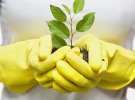 Plant Challenge