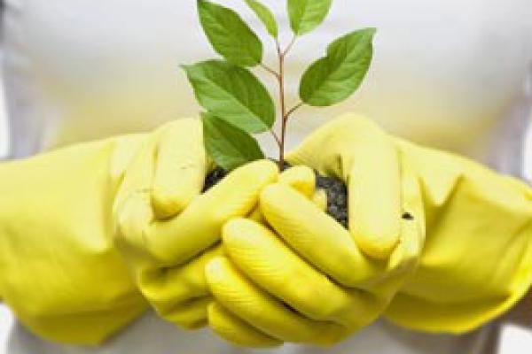 Plant Challenge